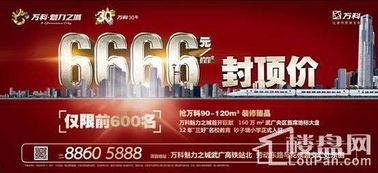 万科城爆料最新消息,揭秘神秘项目进展与未来规划  第3张